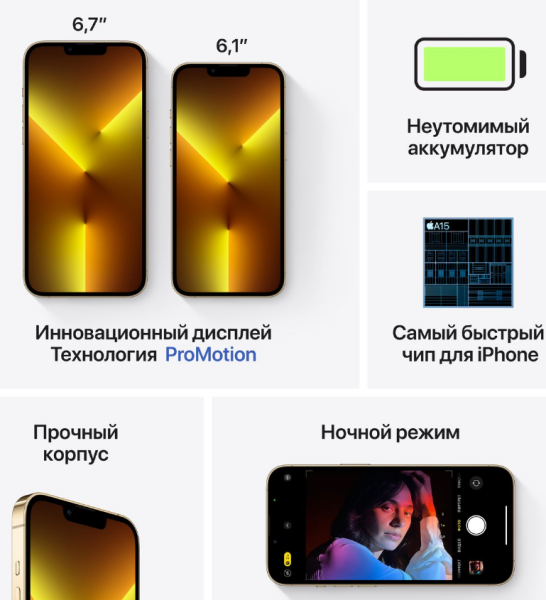 Apple iPhone 13 Pro 1Tb Gold (MLWG3RU/A)