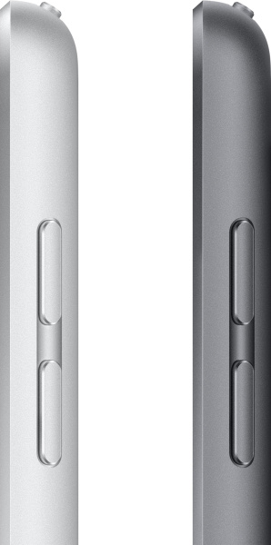 Apple iPad 10.2" 2021 256GB 5G MK4H3 (серебристый)