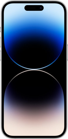 Apple iPhone 14 Pro 1TB (серебристый)