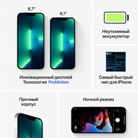Apple iPhone 13 Pro 1Tb Silver (MLWF3)