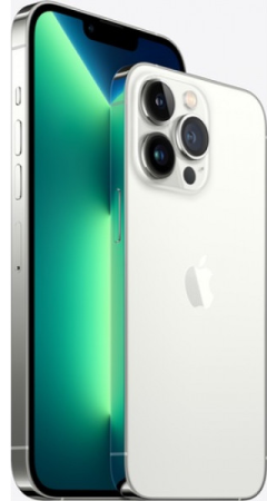 Apple iPhone 13 Pro 1Tb Silver (MLWF3)