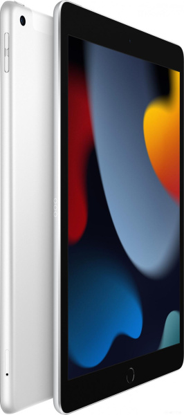 Apple iPad 10.2" 2021 256GB 5G MK4H3 (серебристый)