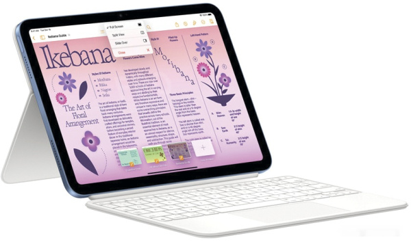 Apple iPad 10.9" 2022 256GB (серебристый)